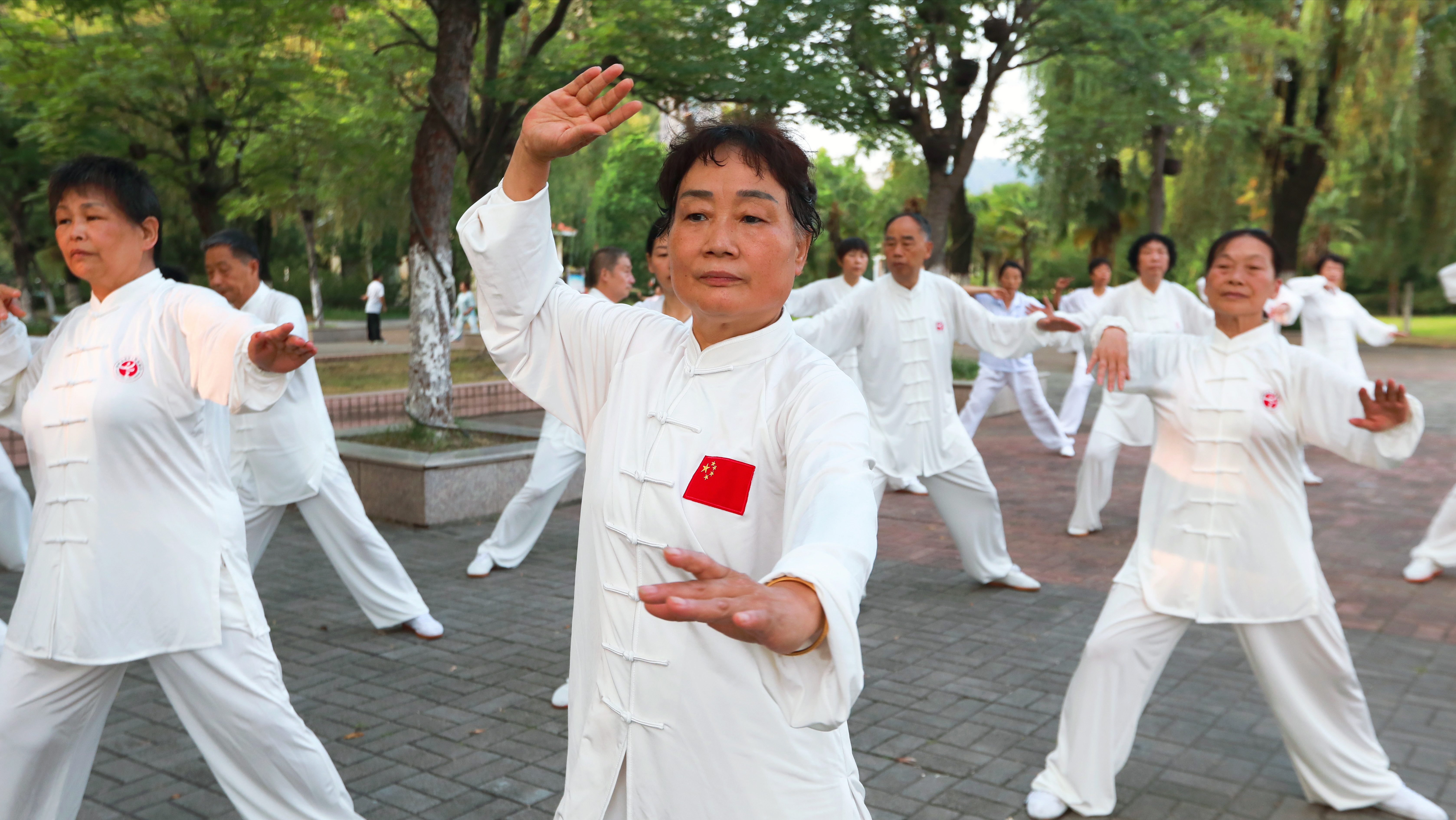 微信图片_2025-08-05_101225_029