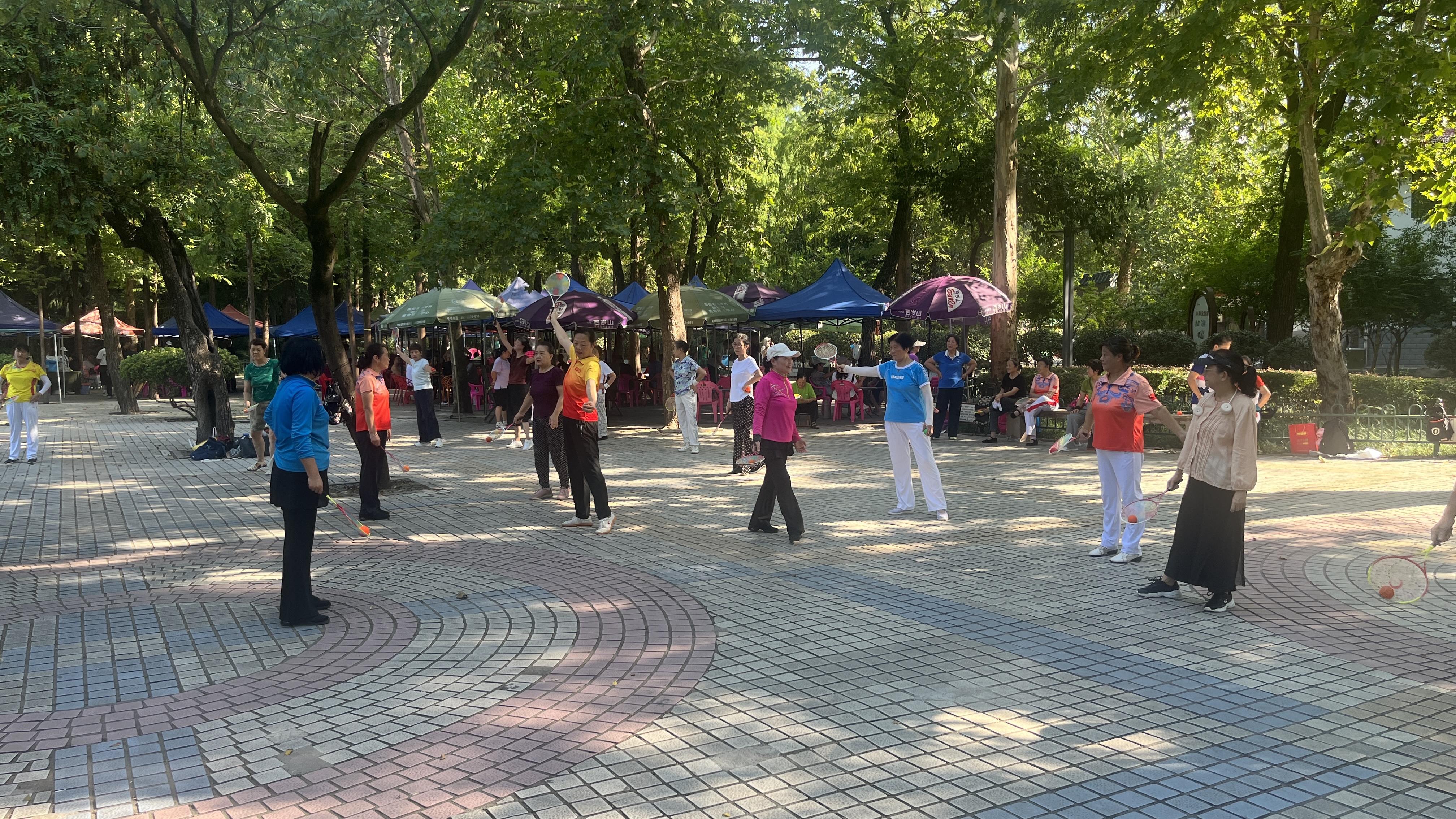 微信图片_20250819092923_173