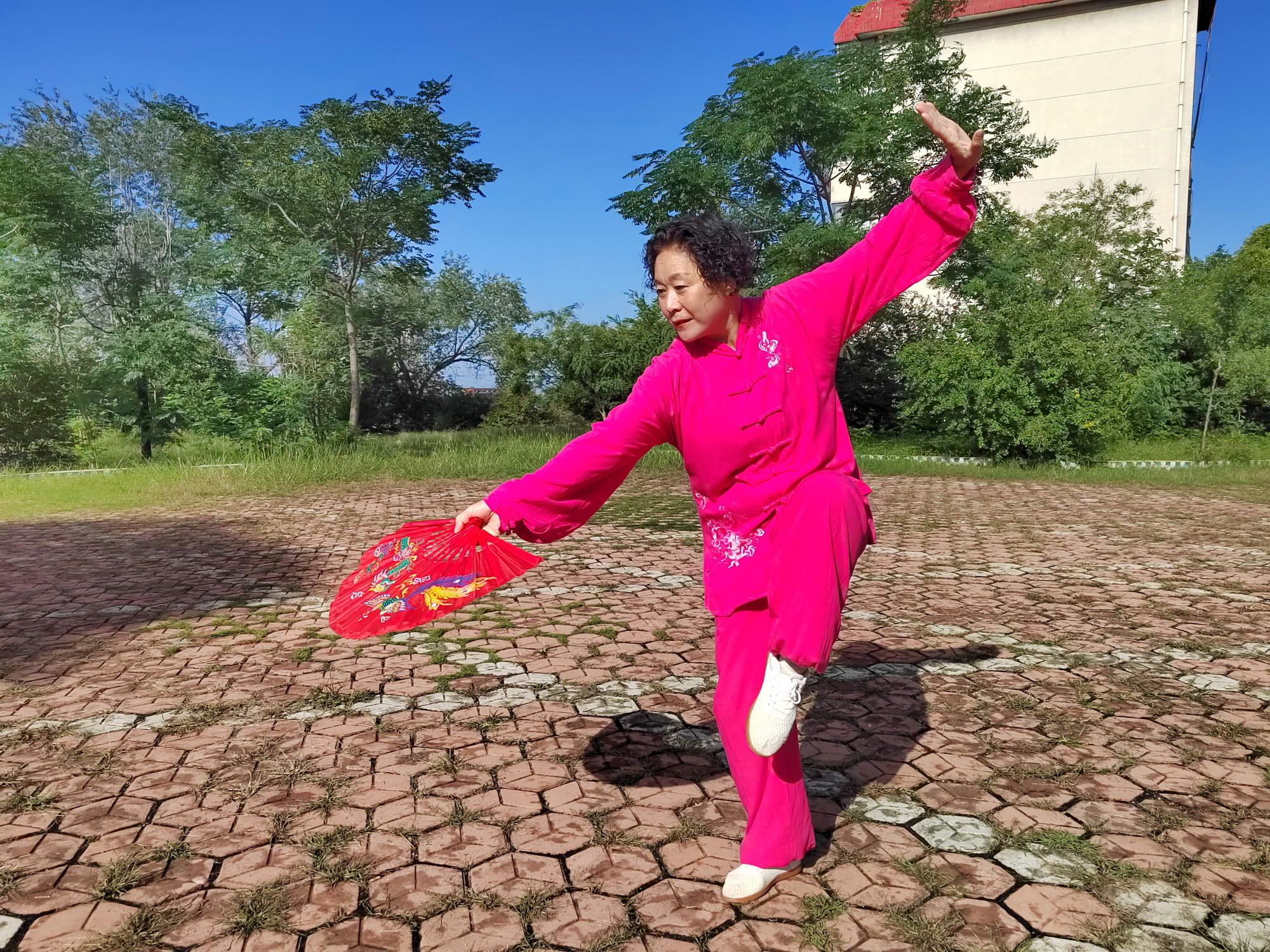 刘清丽，62岁，平顶山红星太极辅导站的站长，日常她带领拳友们坚持天天打拳习练，多次组织大家参与平顶山市老体协和教体局举办的太极拳公益活动和线上、线下太极拳大赛，并获得了优异成绩，她被大家亲切地称为红星站的带头人。摄影：乔红兰