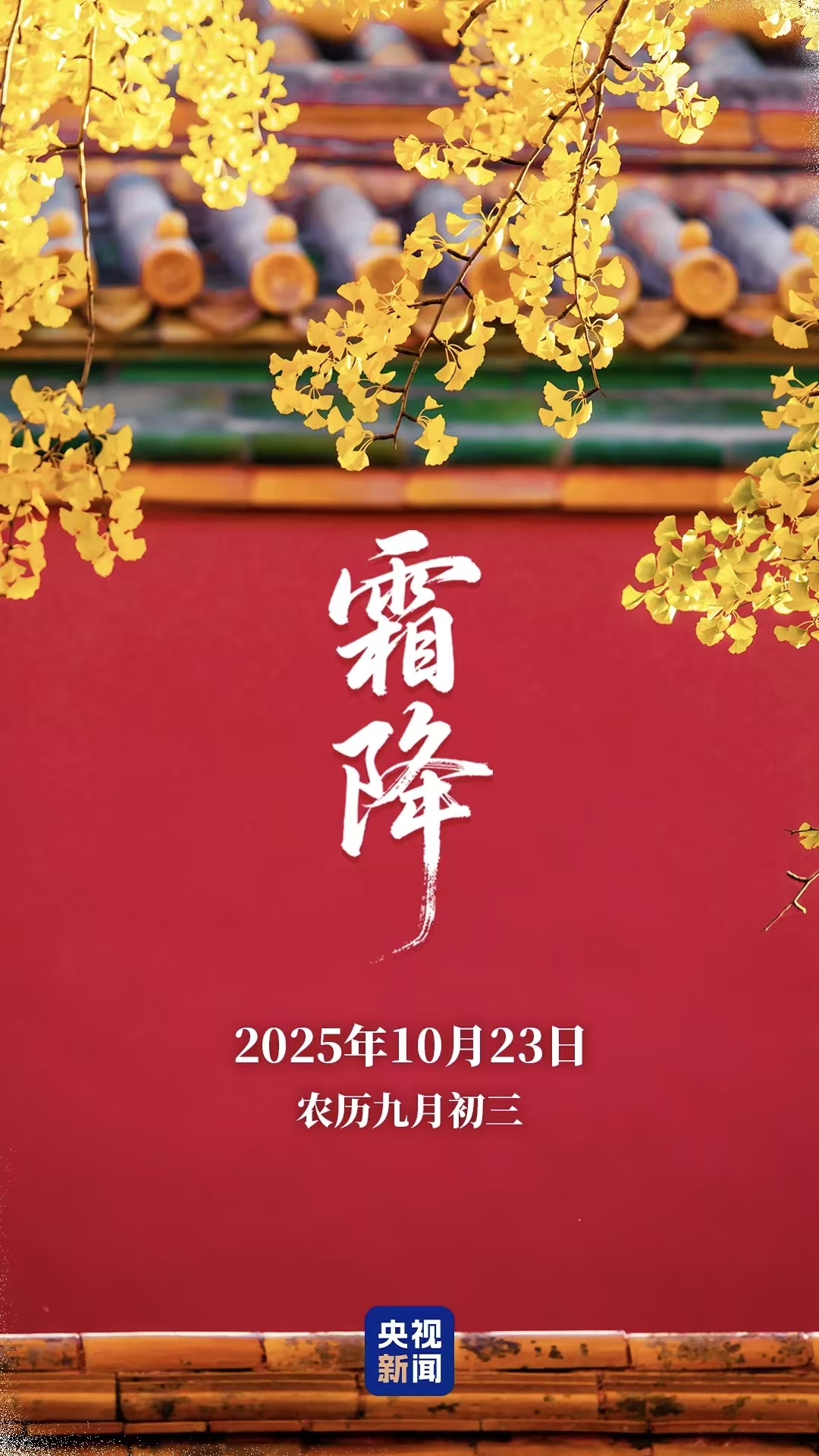 ee43e194fbbfd7538f51ea8d625a3c3a