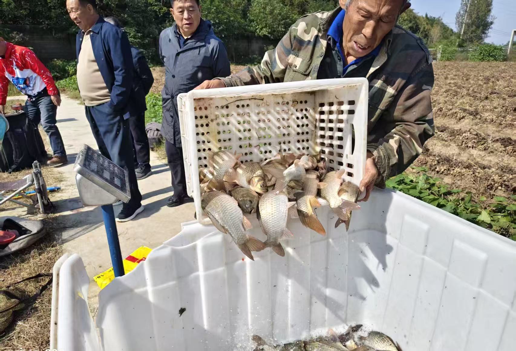 32de0fbd294133dc8c4f2a430c9c3618