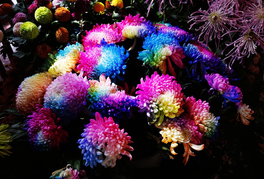 微信图片_20251031090713