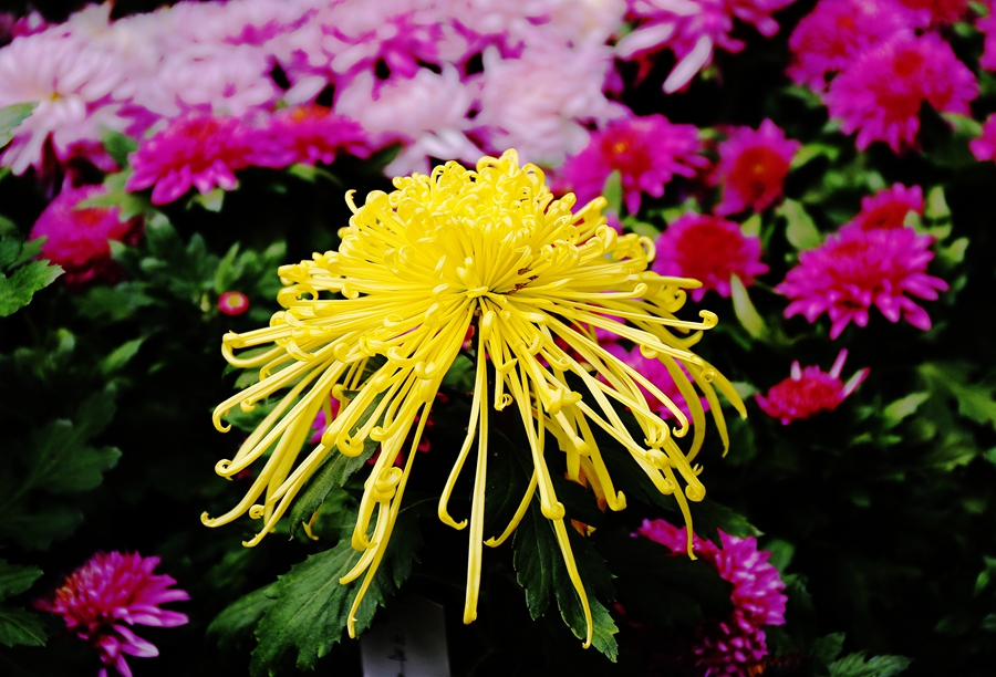 微信图片_20251031090717