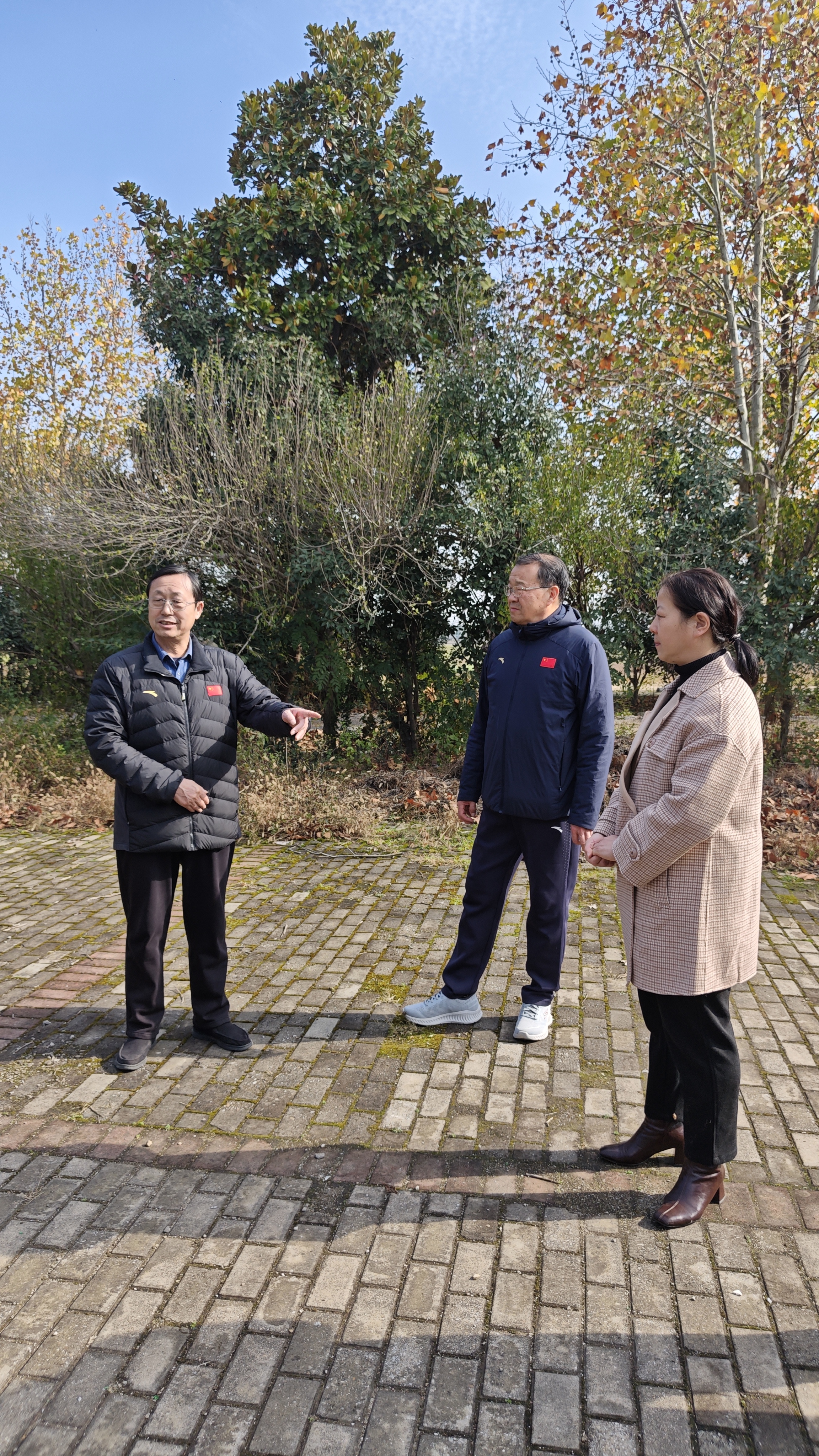 微信图片_20251121145928_873_10