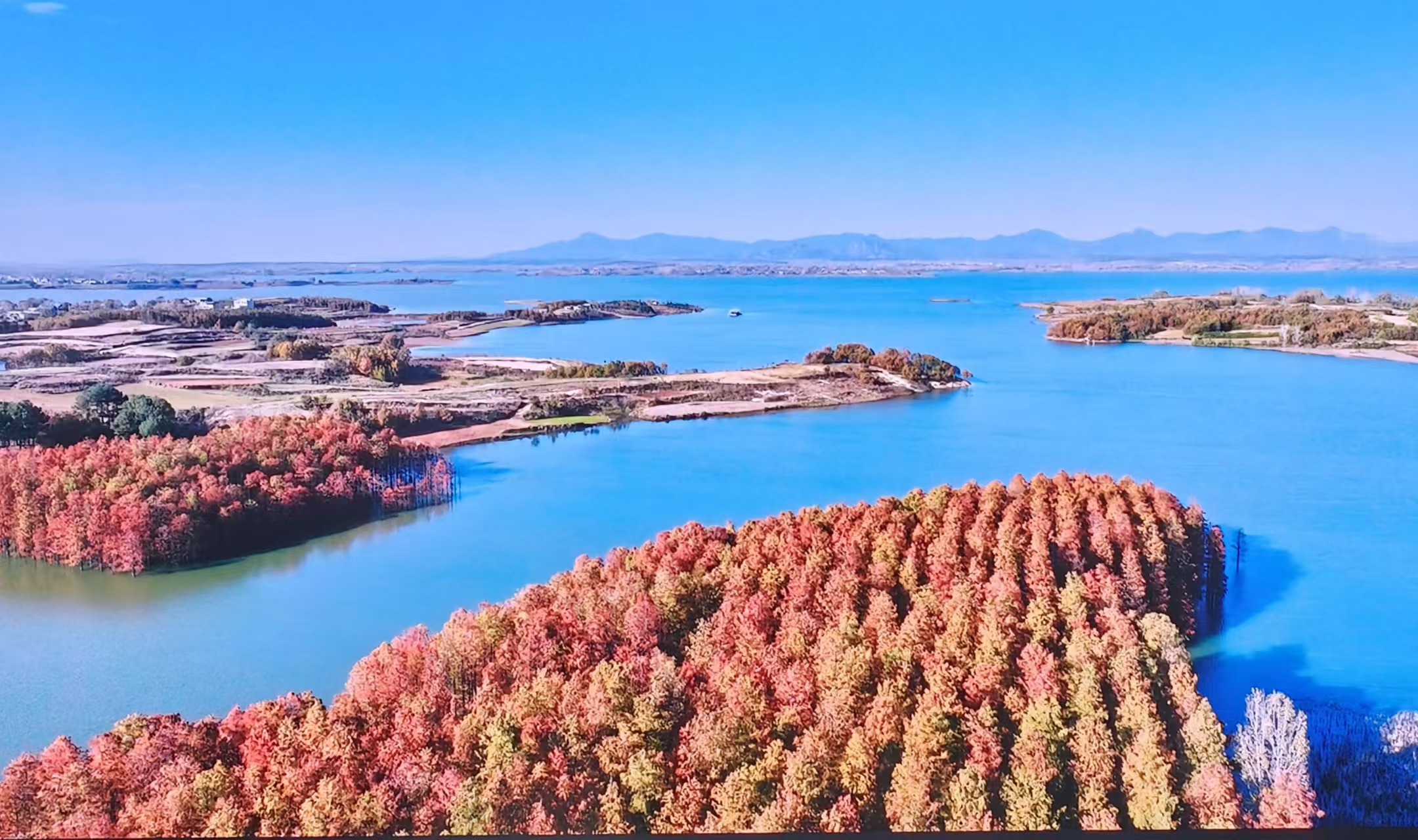 4649c02866e7a58fbd070f3707e74dfe