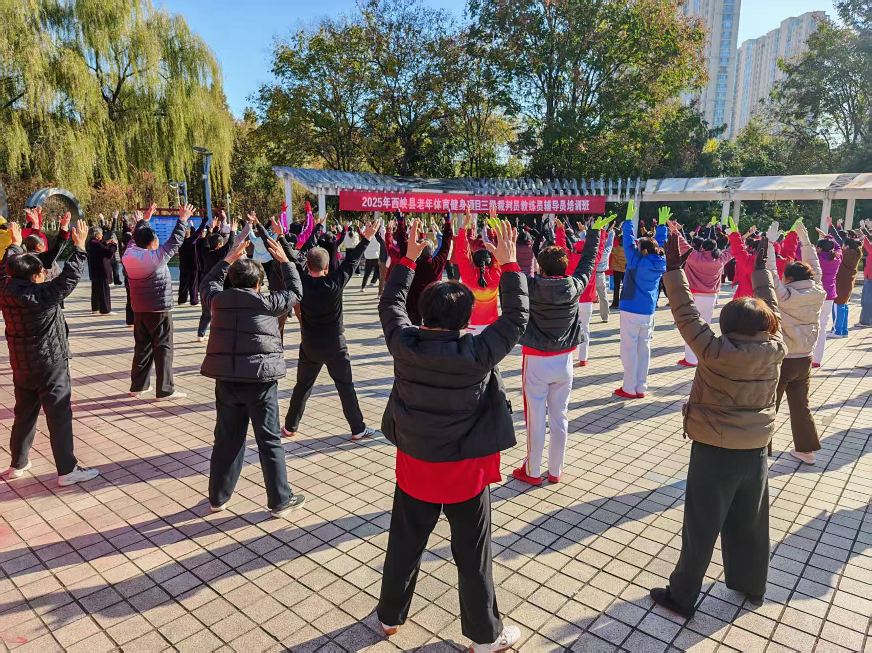 微信图片_20251121164702_577_150