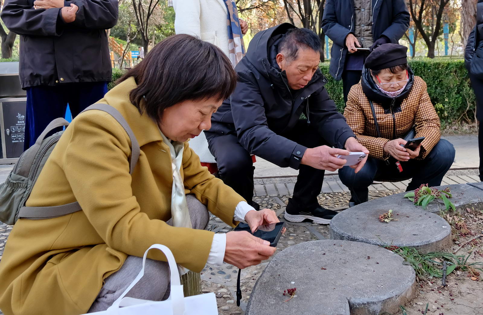 微信图片_20251127163719