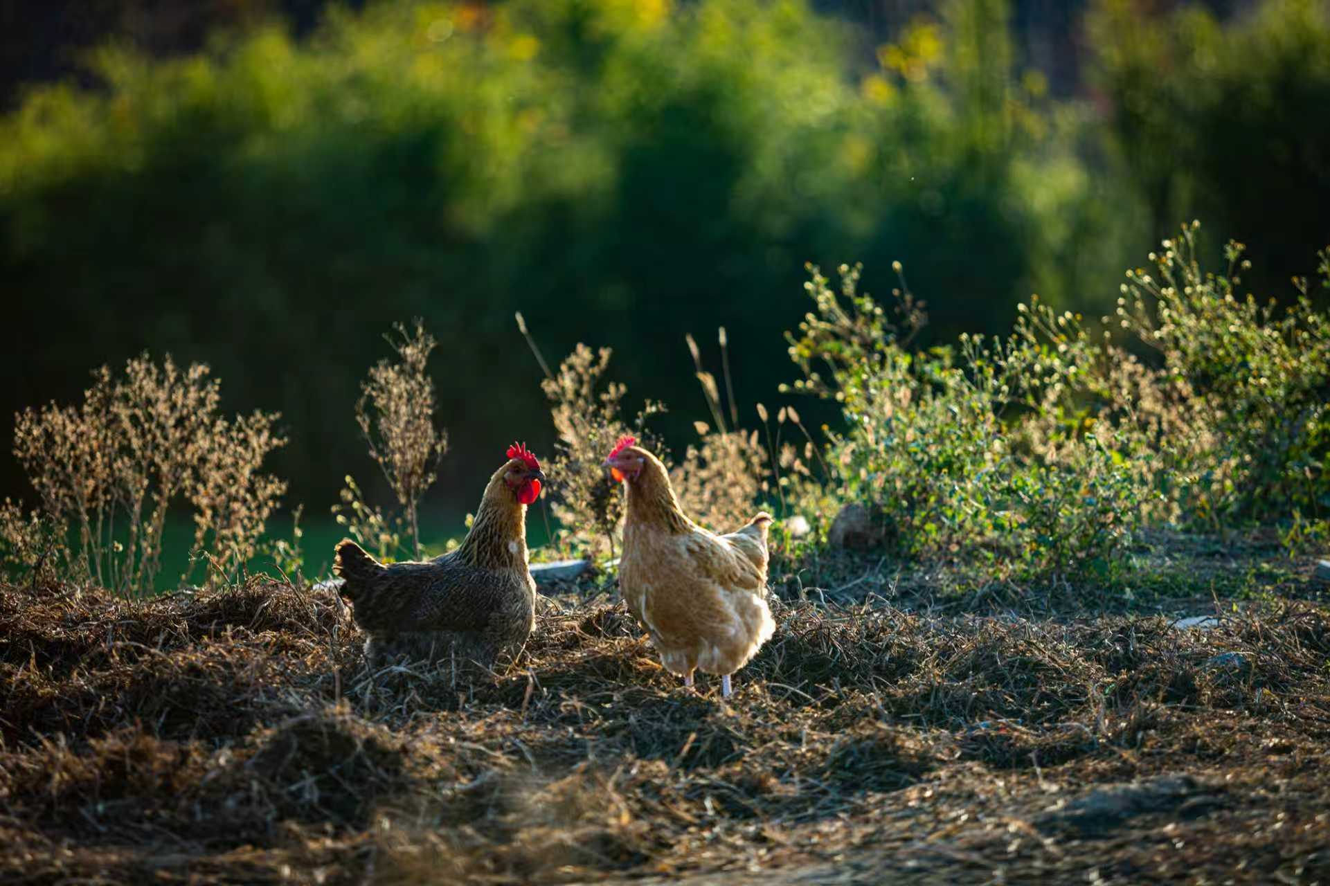 微信图片_20251202093154