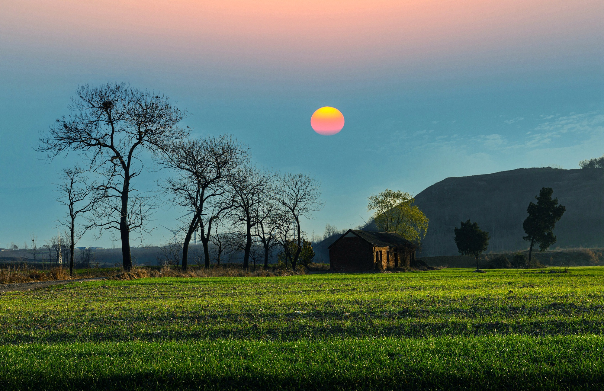 微信图片_20251202093231