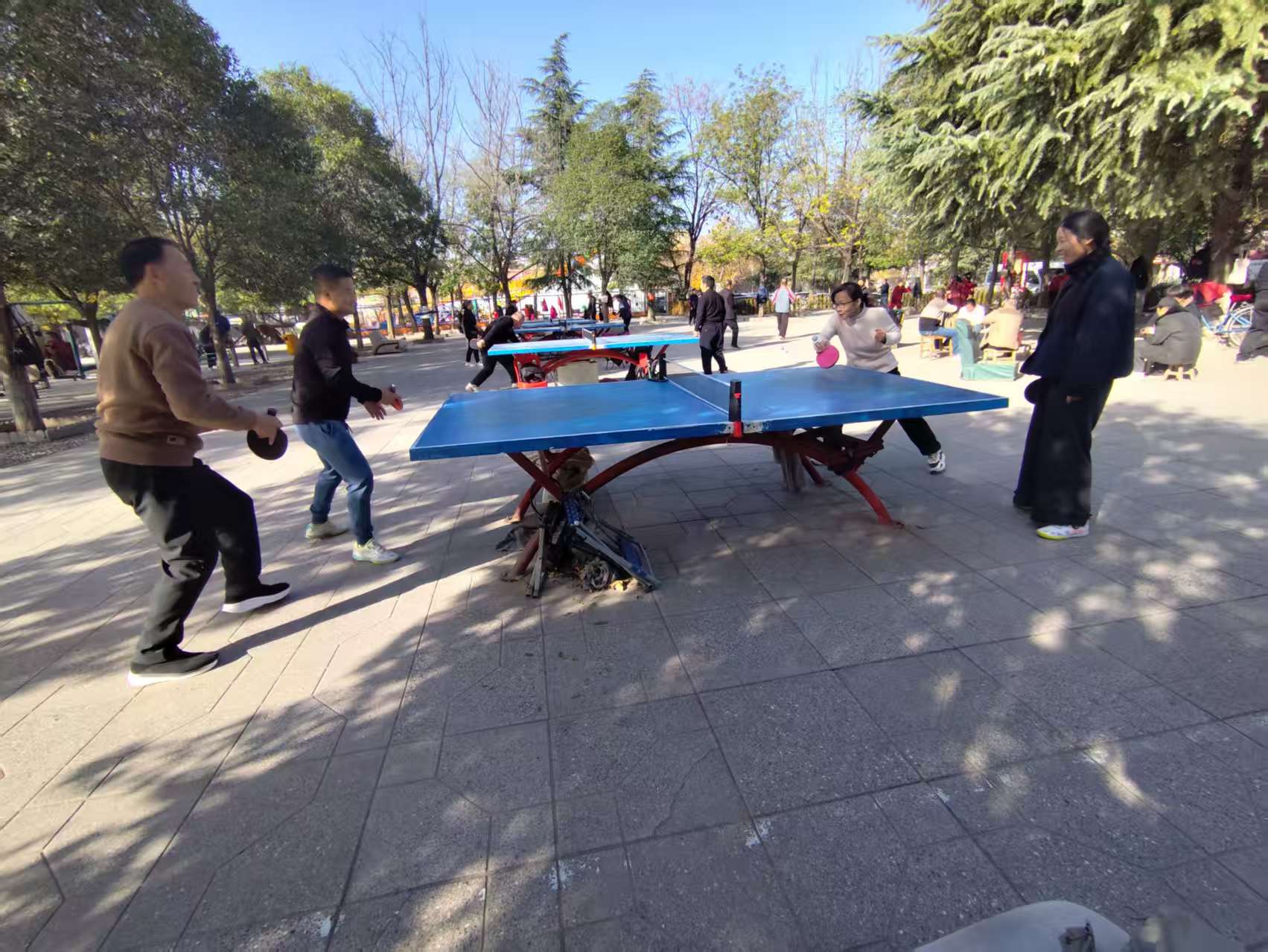 c3548903f6dd3ed7b9f8ba2a83ad0944