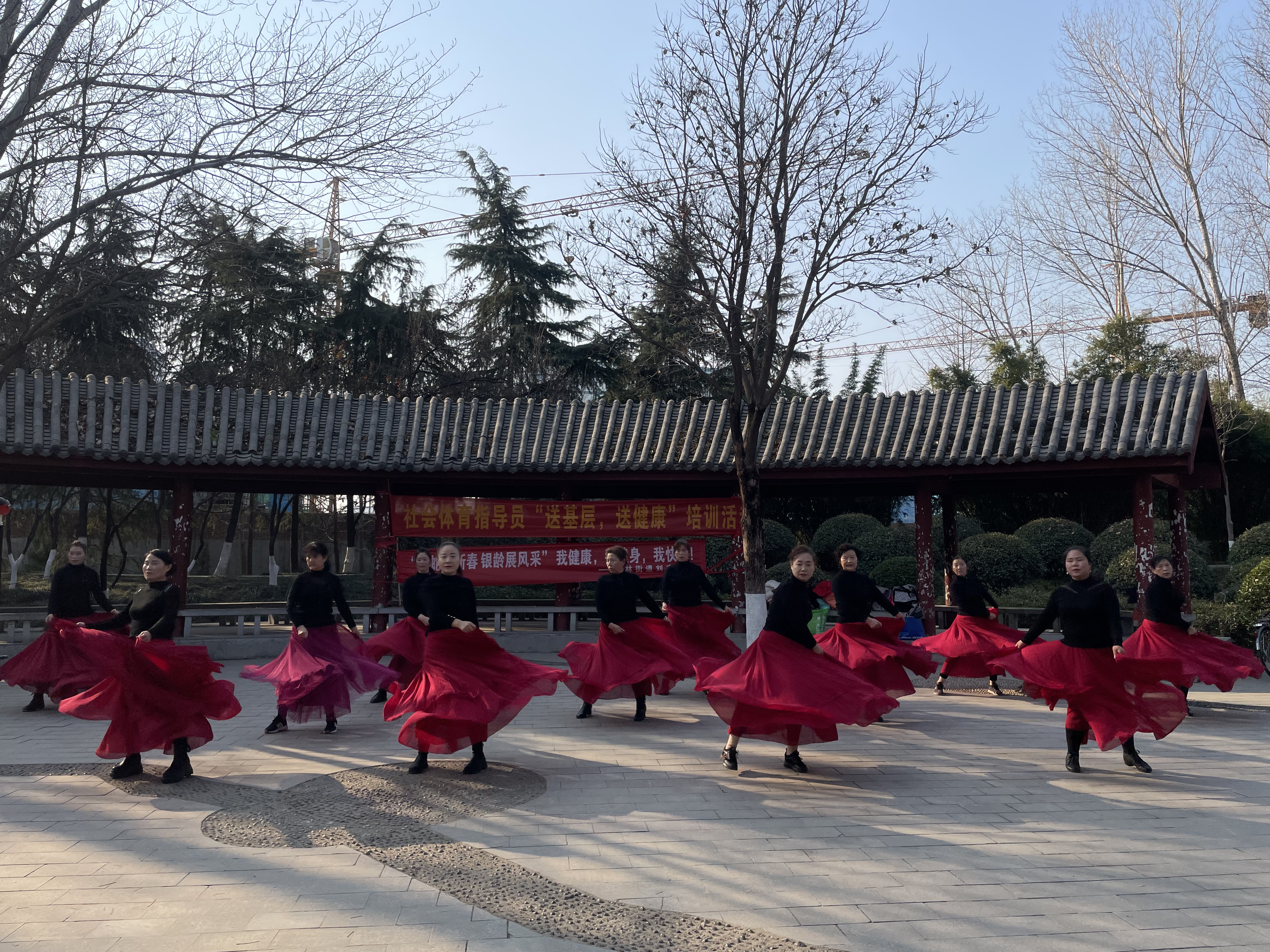 图片1