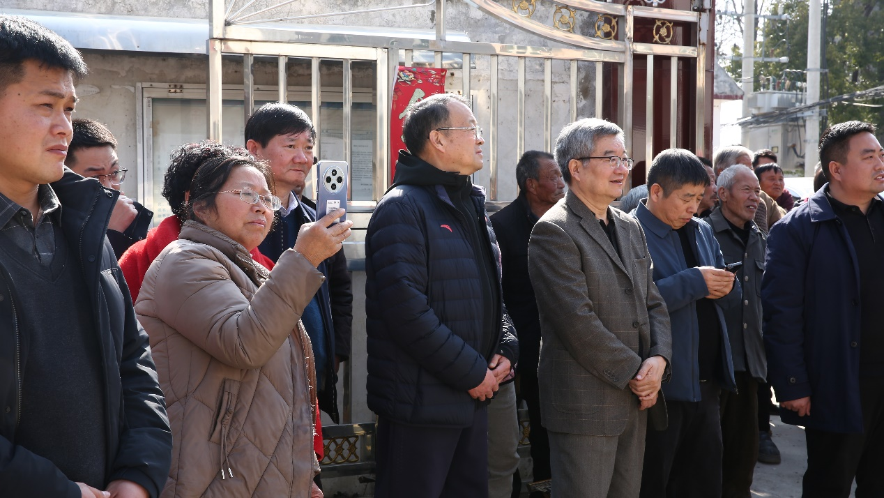 图片9