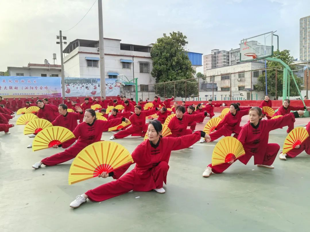 泌阳2