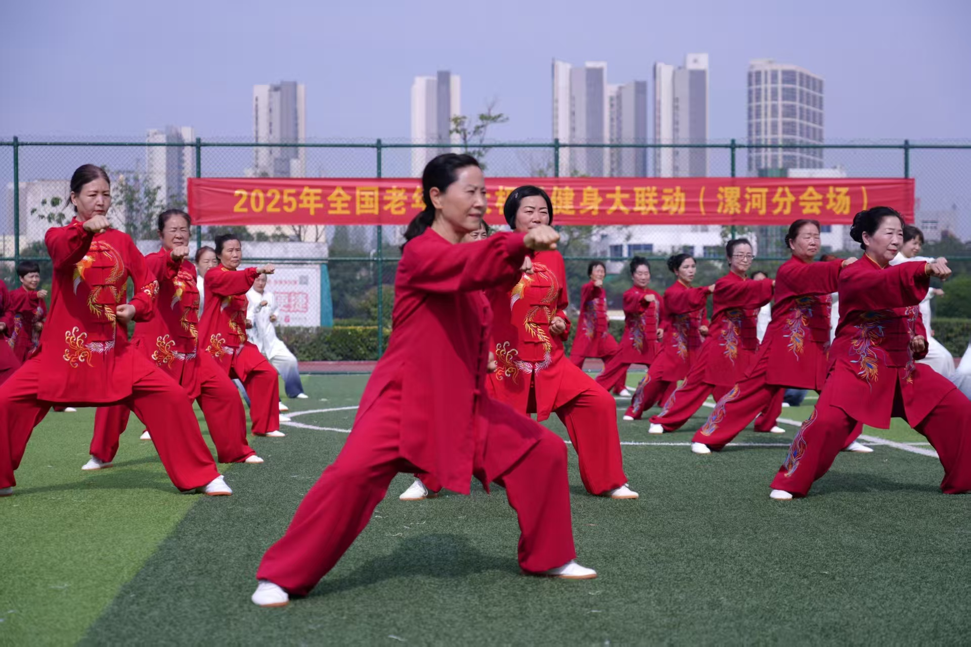 图片3