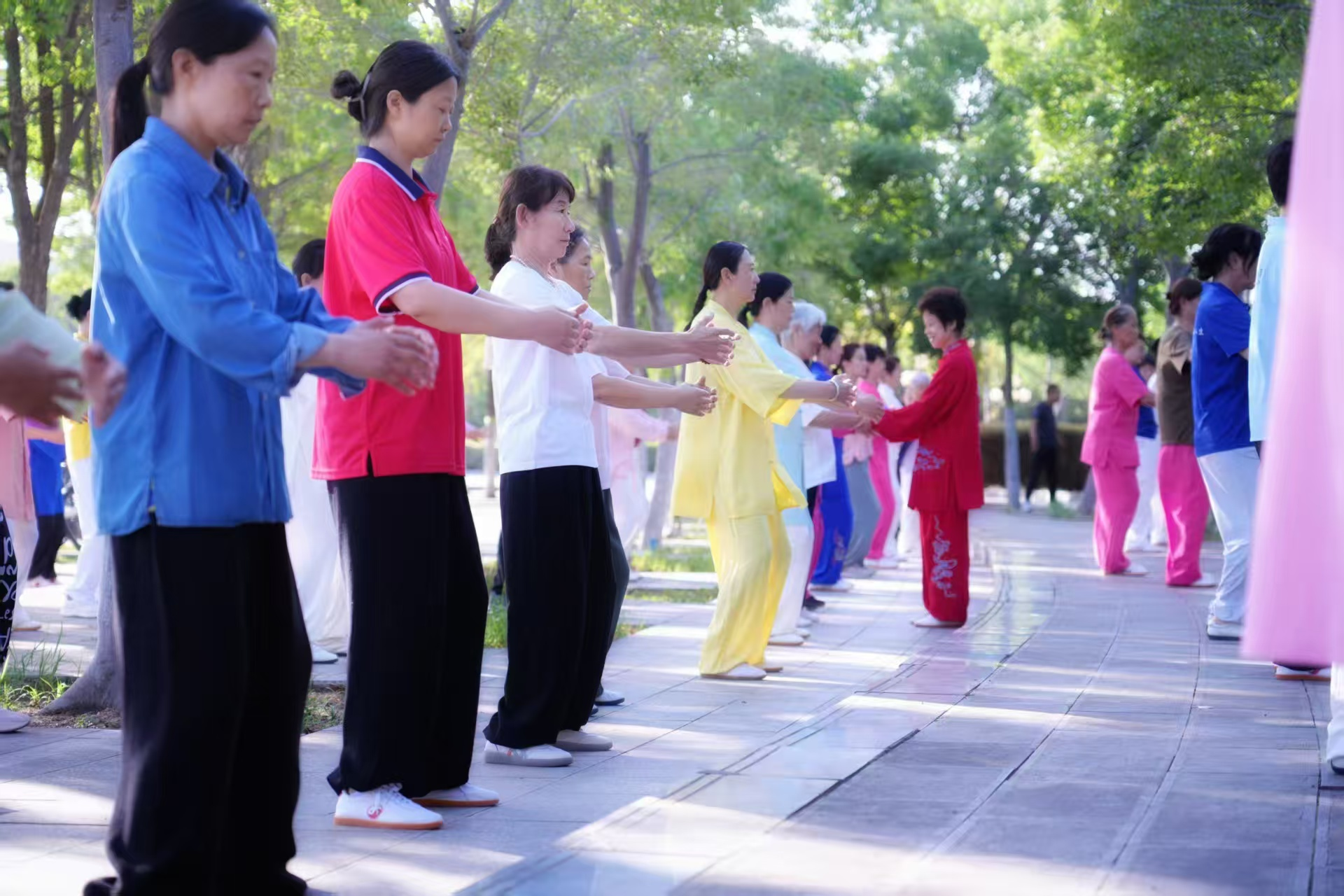 图片4