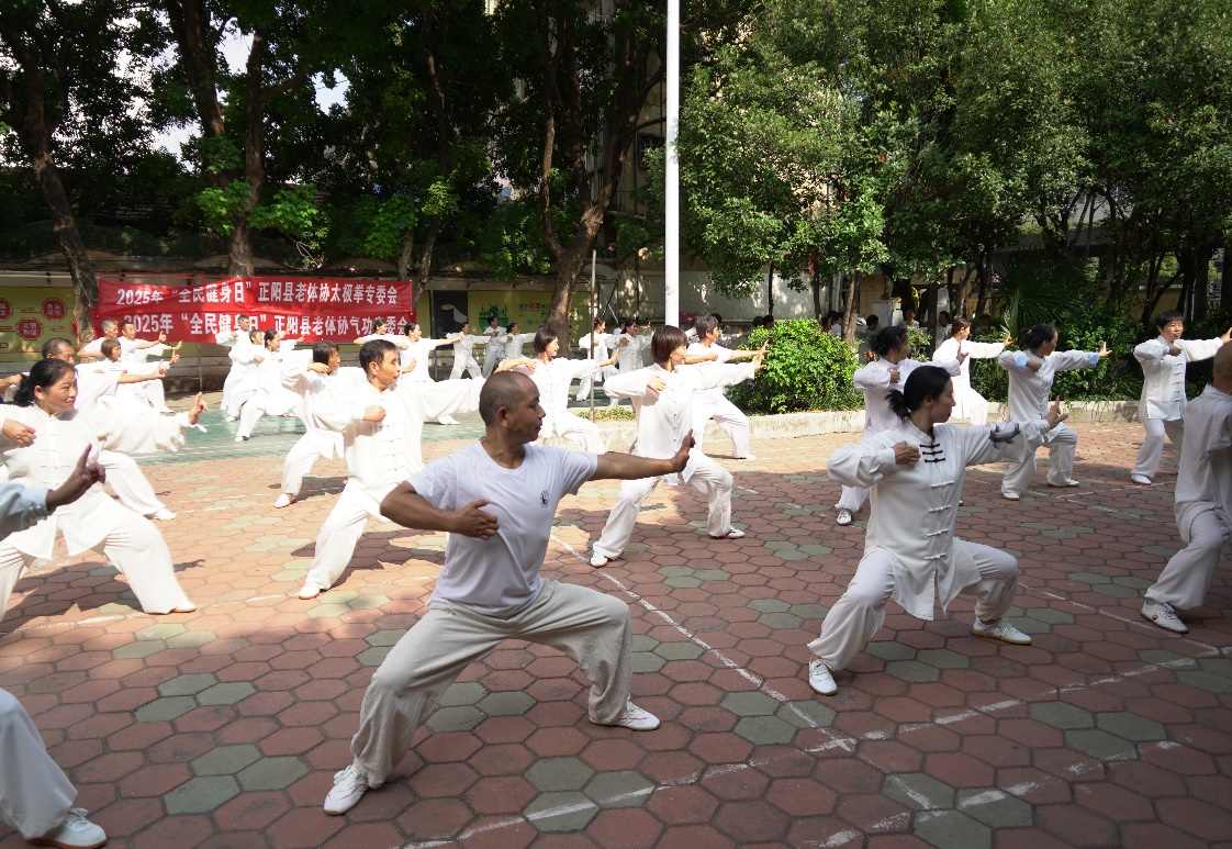图片12