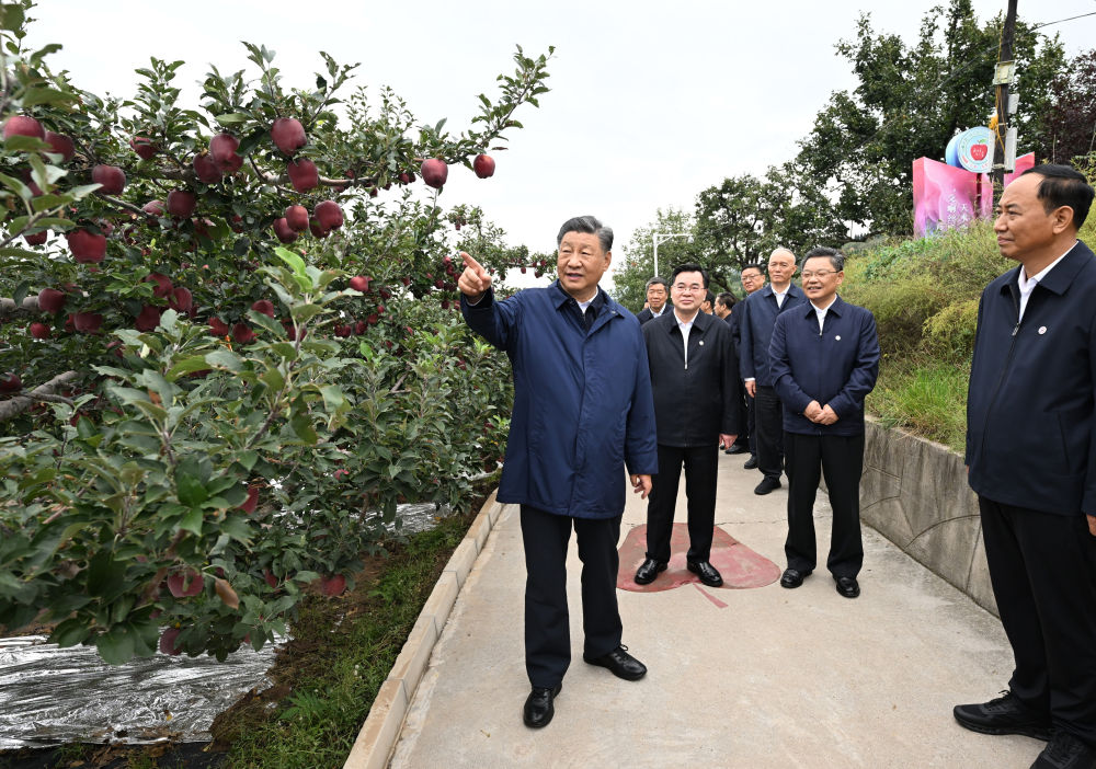 微信图片_20240914173040