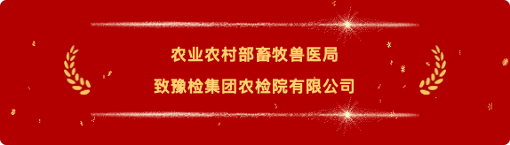 喜报7