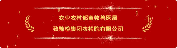 喜报9