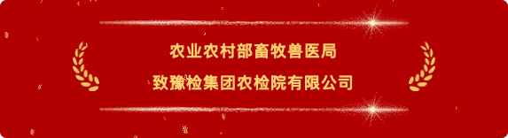 喜报11