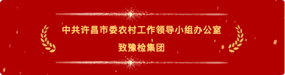 喜报17