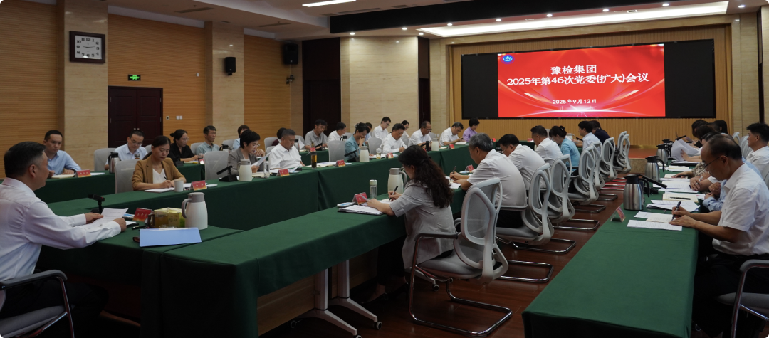 豫检集团召开党委（扩大）会议