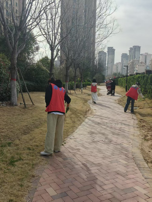 图片4